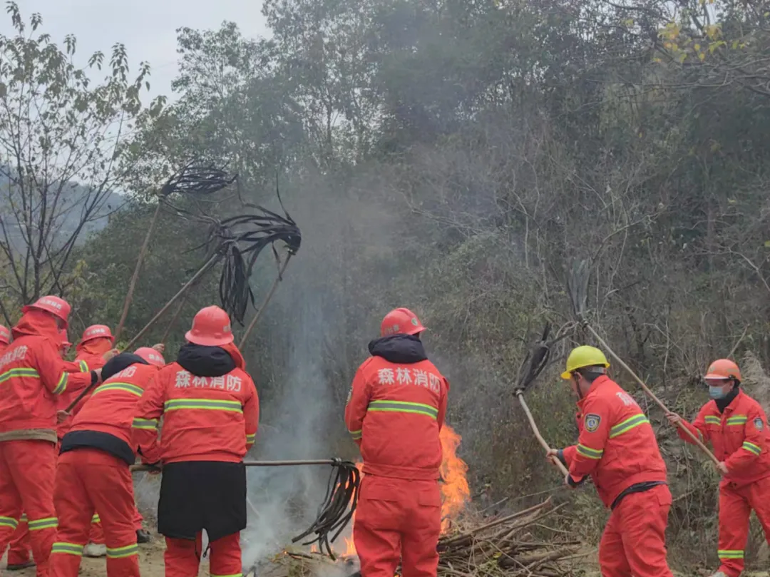 /website-webapp/ewebeditor/uploadfile/20250113094001498003