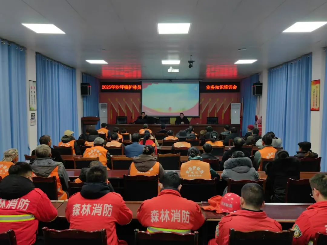 /website-webapp/ewebeditor/uploadfile/20250113093959387002