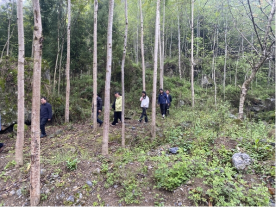 /website-webapp/ewebeditor/uploadfile/20260402164924604005