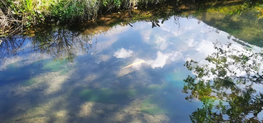 /website-webapp/ewebeditor/uploadfile/20250225083218750009