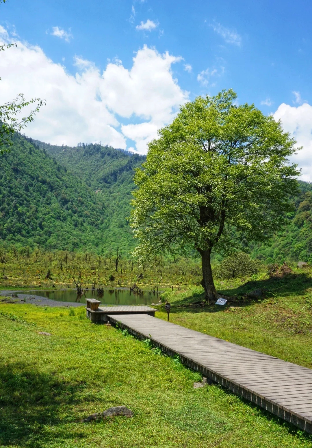 /website-webapp/ewebeditor/uploadfile/20250225083218306008