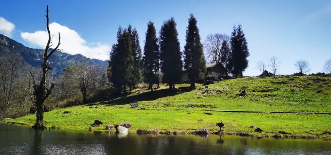 /website-webapp/ewebeditor/uploadfile/20250225083215503003