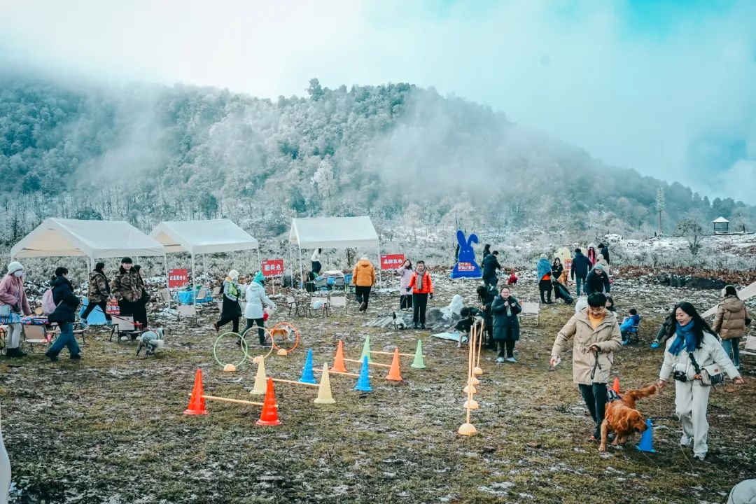 /website-webapp/ewebeditor/uploadfile/20250210091930470003