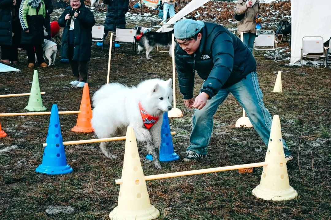 /website-webapp/ewebeditor/uploadfile/20250210091931683005