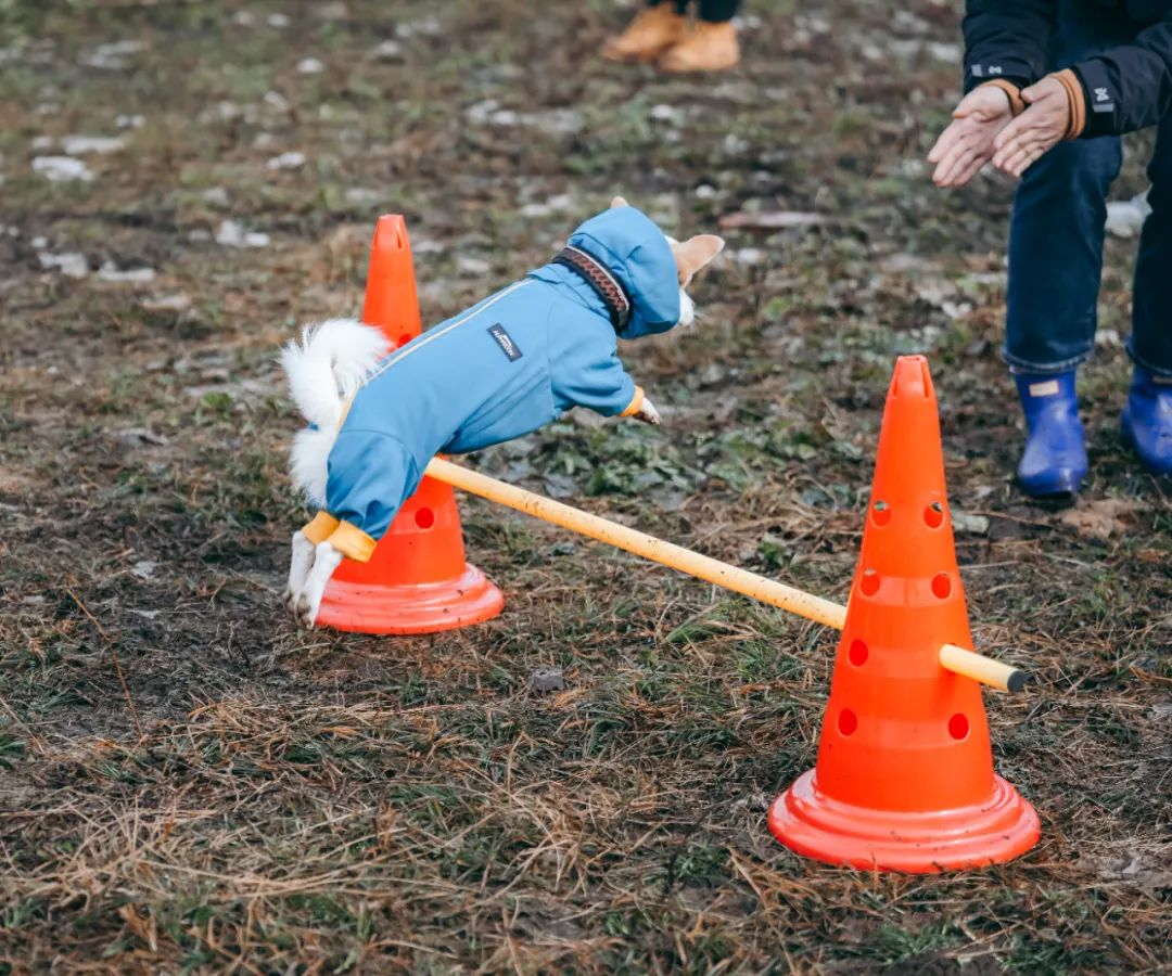 /website-webapp/ewebeditor/uploadfile/20250210091931218004