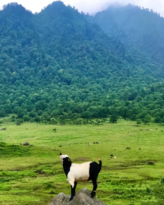 /website-webapp/ewebeditor/uploadfile/20250403085909255007