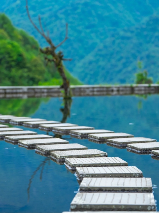 /website-webapp/ewebeditor/uploadfile/20250403085909814008