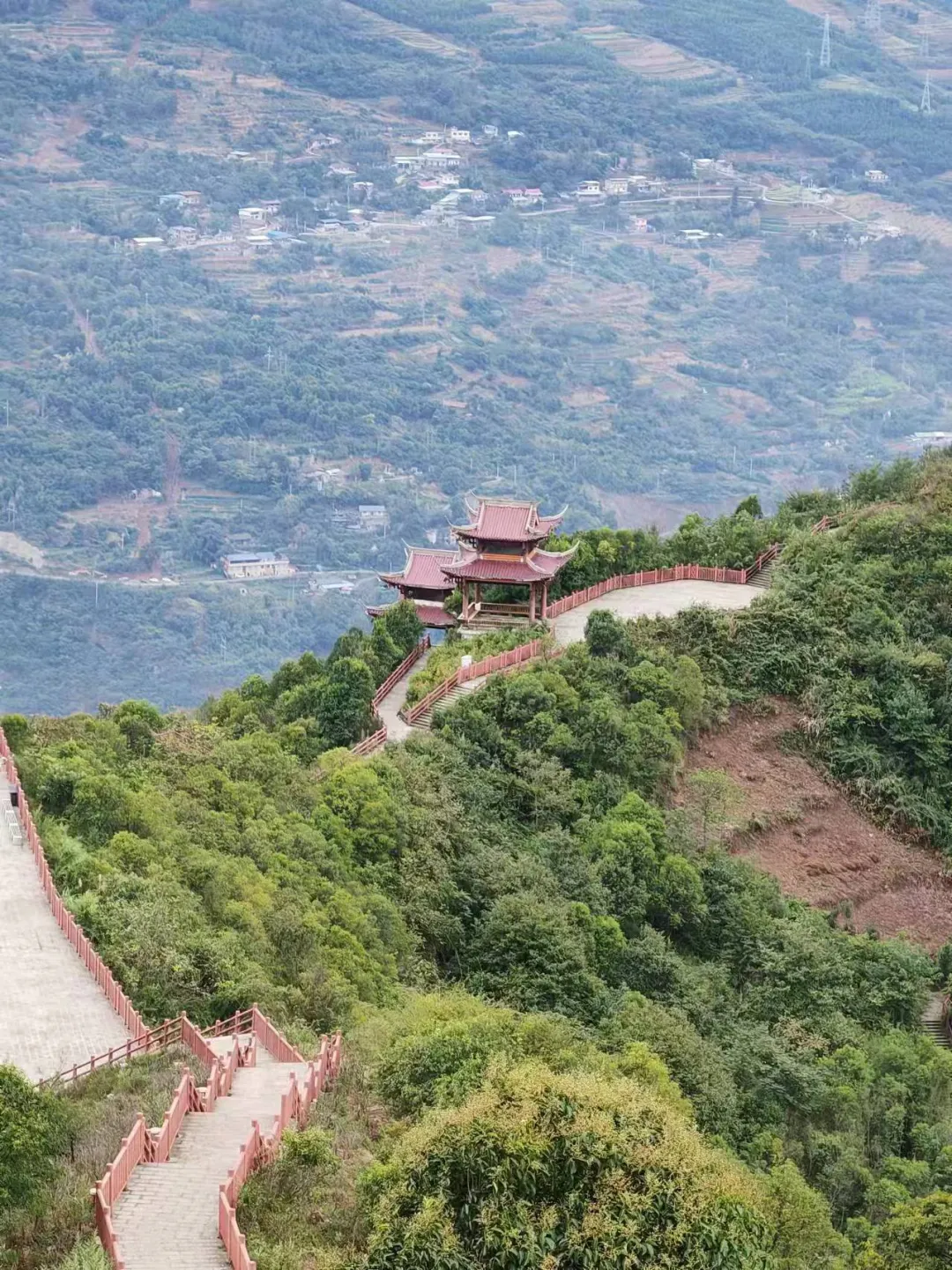 图片2