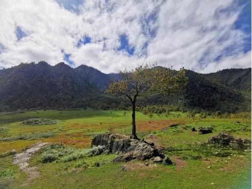 /website-webapp/ewebeditor/uploadfile/20241028090307810001