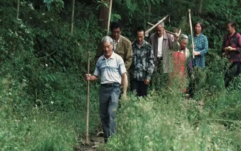 /website-webapp/ewebeditor/uploadfile/20250205102323468002