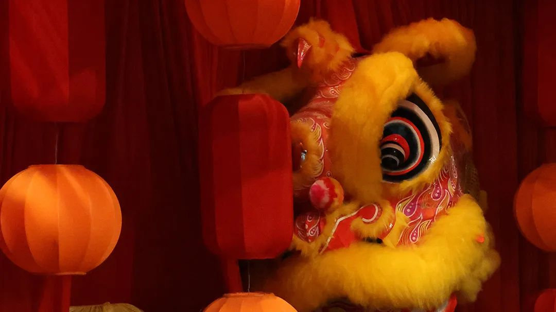 /website-webapp/ewebeditor/uploadfile/20250210091610256011