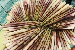 /website-webapp/ewebeditor/uploadfile/20260106090450330004