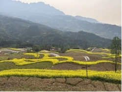 /website-webapp/ewebeditor/uploadfile/20260106090451683005