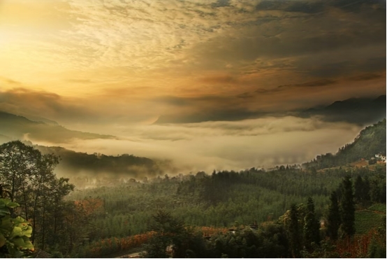 /website-webapp/ewebeditor/uploadfile/20260106090448286001