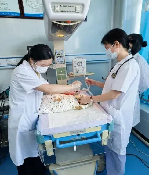 /website-webapp/ewebeditor/uploadfile/20251027082342406001